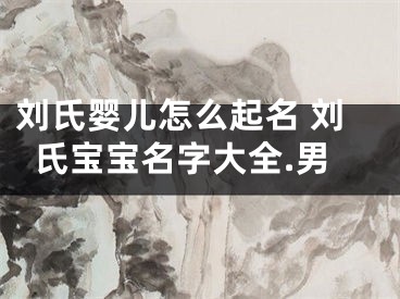 刘氏婴儿怎么起名 刘氏宝宝名字大全.男