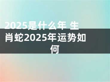 2025是什么年 生肖蛇2025年运势如何