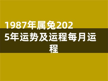1987年属兔2025年运势及运程每月运程
