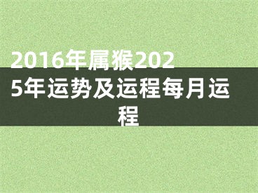 2016年属猴2025年运势及运程每月运程