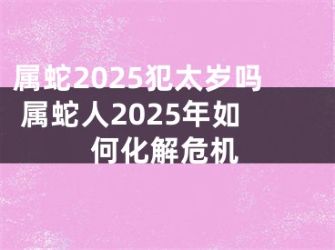 属蛇2025犯太岁吗 属蛇人2025年如何化解危机