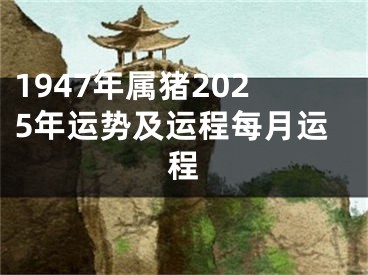 1947年属猪2025年运势及运程每月运程