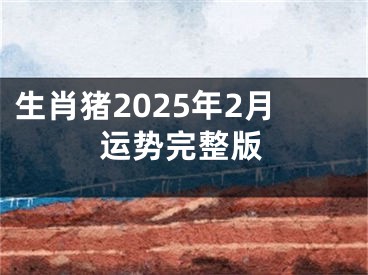 生肖猪2025年2月运势完整版