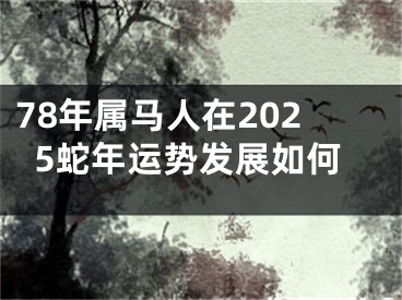 78年属马人在2025蛇年运势发展如何