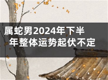 属蛇男2024年下半年整体运势起伏不定