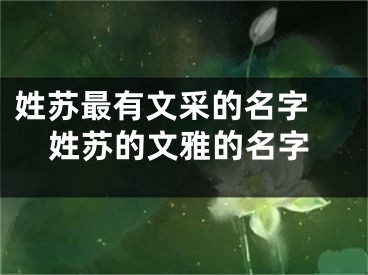 姓苏最有文采的名字 姓苏的文雅的名字