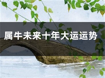 属牛未来十年大运运势