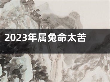 2023年属兔命太苦