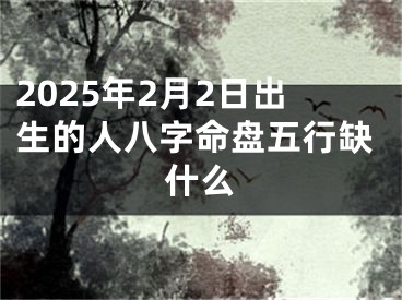 2025年2月2日出生的人八字命盘五行缺什么