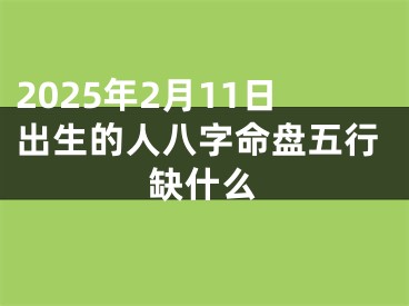 2025年2月11日出生的人八字命盘五行缺什么