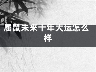 属鼠未来十年大运怎么样
