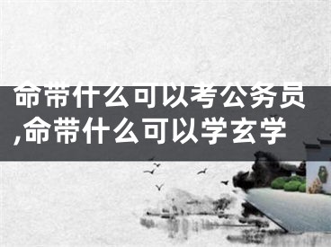 命带什么可以考公务员,命带什么可以学玄学