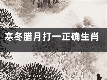 寒冬腊月打一正确生肖