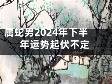 属蛇男2024年下半年运势起伏不定