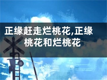 正缘赶走烂桃花,正缘桃花和烂桃花