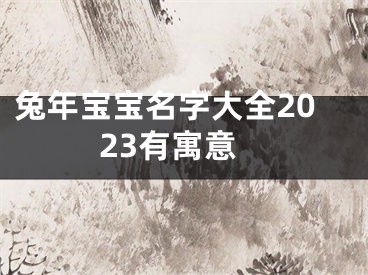兔年宝宝名字大全2023有寓意