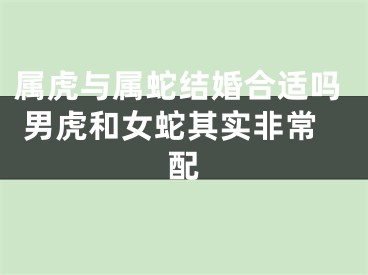 属虎与属蛇结婚合适吗 男虎和女蛇其实非常配