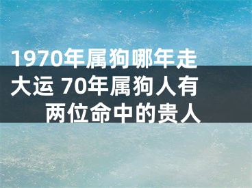 1970年属狗哪年走大运 70年属狗人有两位命中的贵人