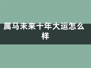 属马未来十年大运怎么样