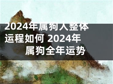 2024年属狗人整体运程如何 2024年属狗全年运势