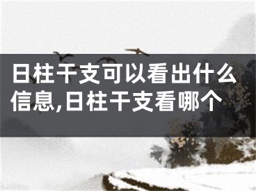 日柱干支可以看出什么信息,日柱干支看哪个