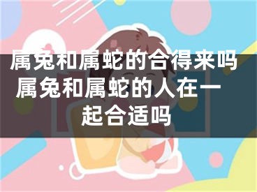 属兔和属蛇的合得来吗 属兔和属蛇的人在一起合适吗