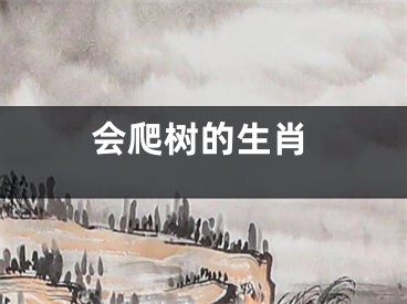 会爬树的生肖