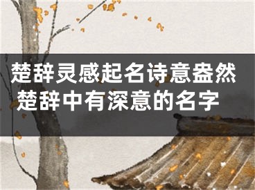楚辞灵感起名诗意盎然 楚辞中有深意的名字