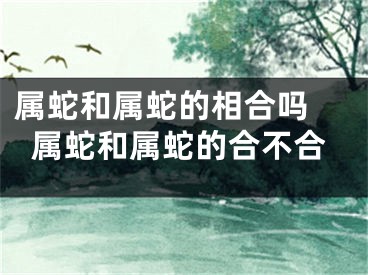 属蛇和属蛇的相合吗 属蛇和属蛇的合不合