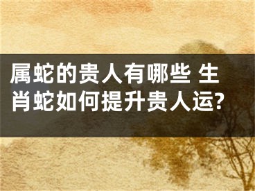 属蛇的贵人有哪些 生肖蛇如何提升贵人运?
