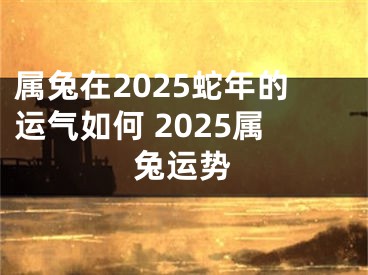 属兔在2025蛇年的运气如何 2025属兔运势
