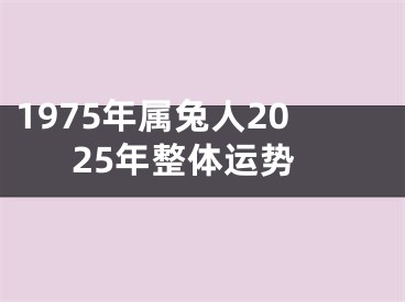 1975年属兔人2025年整体运势