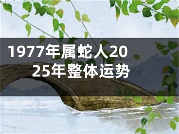 1977年属蛇人2025年整体运势