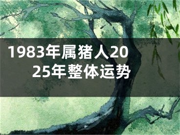 1983年属猪人2025年整体运势
