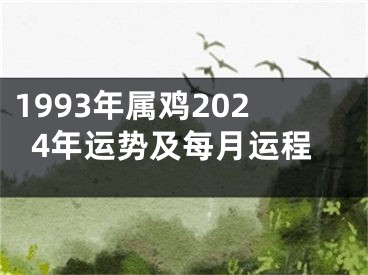 1993年属鸡2024年运势及每月运程
