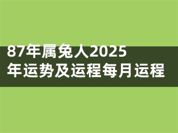 87年属兔人2025年运势及运程每月运程