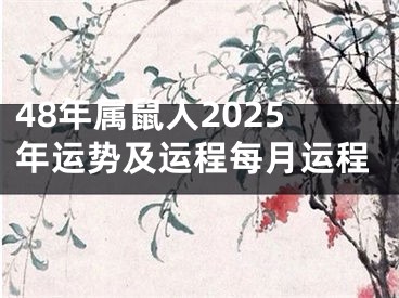 48年属鼠人2025年运势及运程每月运程