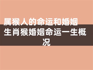 属猴人的命运和婚姻 生肖猴婚姻命运一生概况