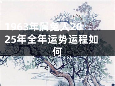 1963年属兔人2025年全年运势运程如何