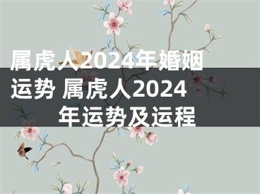 属虎人2024年婚姻运势 属虎人2024年运势及运程