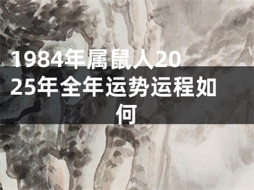 1984年属鼠人2025年全年运势运程如何
