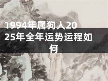 1994年属狗人2025年全年运势运程如何