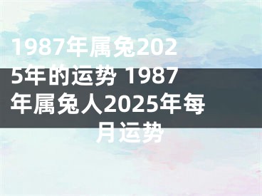 1987年属兔2025年的运势 1987年属兔人2025年每月运势