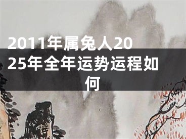 2011年属兔人2025年全年运势运程如何