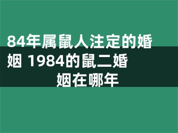 84年属鼠人注定的婚姻 1984的鼠二婚姻在哪年