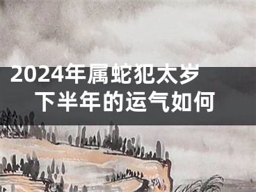 2024年属蛇犯太岁下半年的运气如何