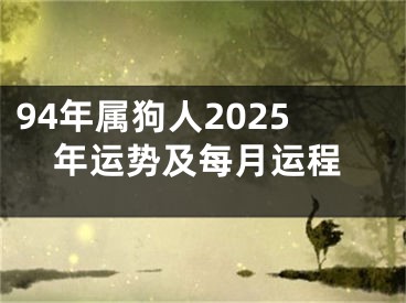 94年属狗人2025年运势及每月运程