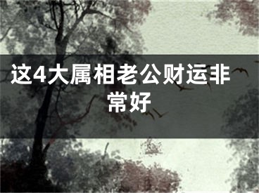 这4大属相老公财运非常好
