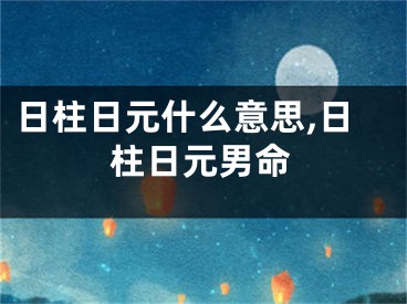 日柱日元什么意思,日柱日元男命