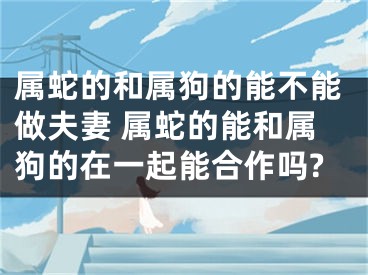 属蛇的和属狗的能不能做夫妻 属蛇的能和属狗的在一起能合作吗?